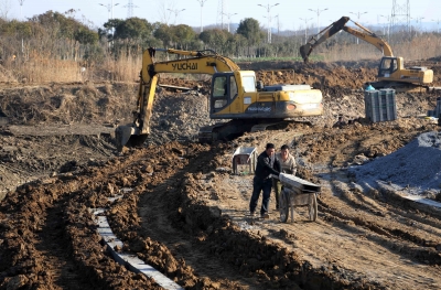 南京農田水利工程建設凸顯生態理念 草坡取代混凝土