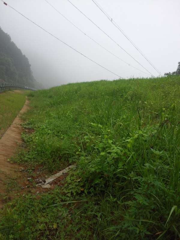 福建邵武市同清溪右岸生態混凝土